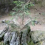 къща семково