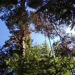 къща семково Nyaraló *