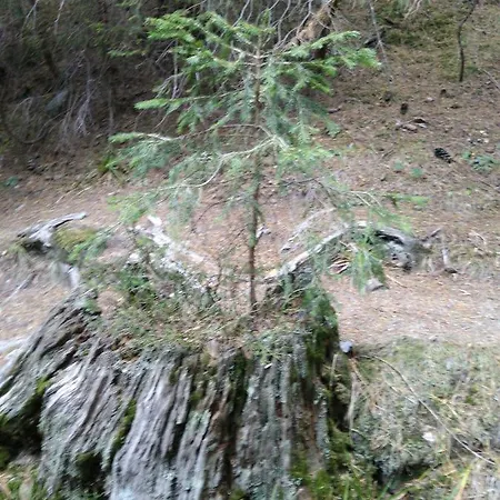 къща семково