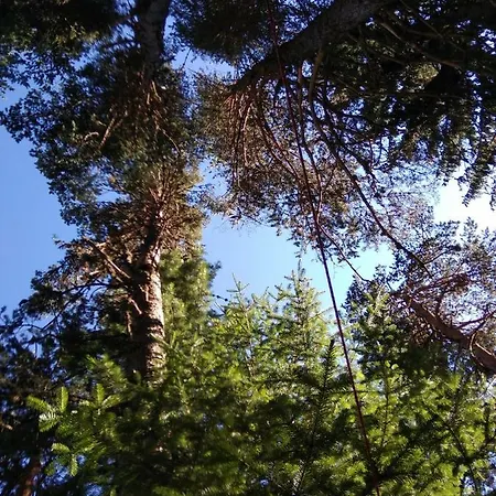 къща семково 펜션 *