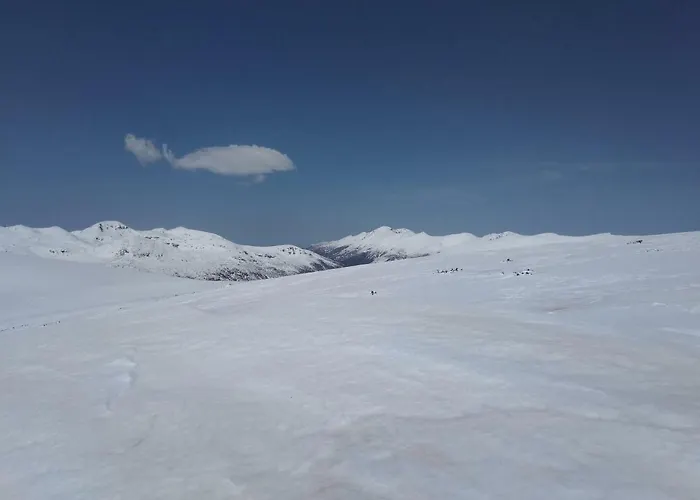 Tatil Evi къща семково