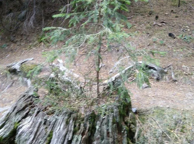 къща семково