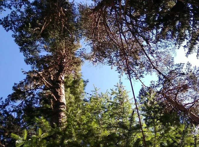 къща семково Tatil Evi *